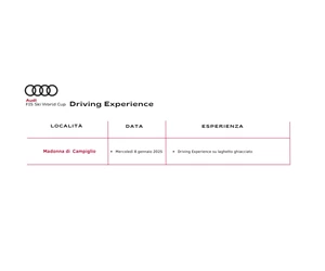 Audi FIS Ski World Cup – Driving Experience