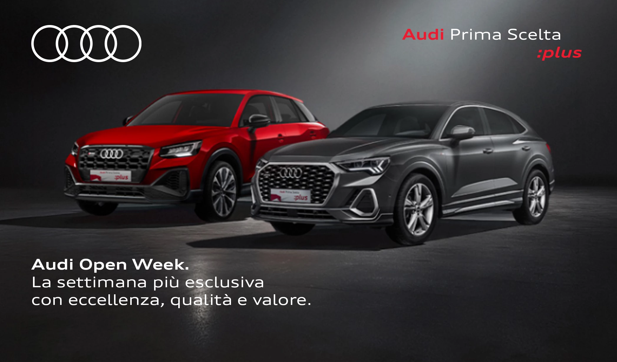 Open Week Sito Formato Copertina Promo Usato FOTO 3