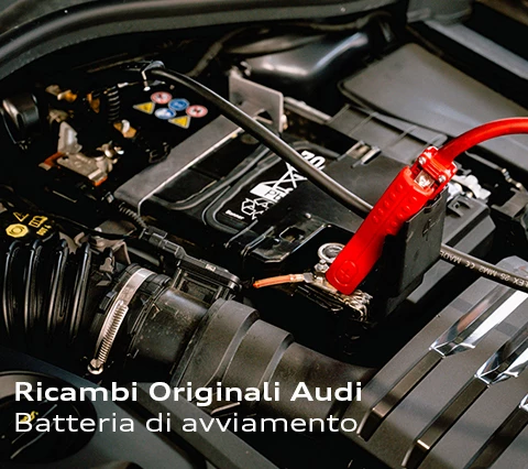 Batteria Sito Formato Copertina Promo Service