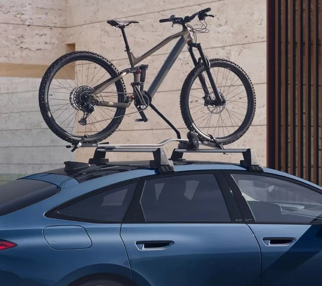 Promozioni Service Portabici